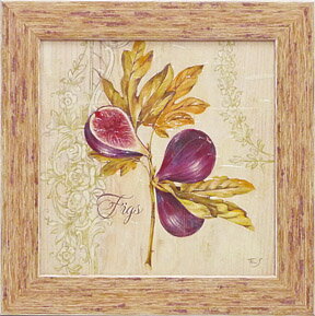 Գեե꡼ ƥե˥ ¤Գեե꡼ ƥե˥ ¤ڳڥ_ۡڳڥ_Τۡڳڥ_åϡۡYDKG-tdۡڱ_ݥ10ܡۡڱ_ۡڱ_ۡڱ_̵¡ۡڱ_Påס