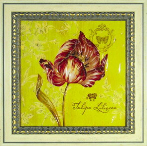 Գեե꡼ ƥե˥ ȥ 塼åסԳեե꡼ ƥե˥ ȥ 塼åסڳڥ_ۡڳڥ_Τۡڳڥ_åϡۡYDKG-tdۡڱ_ݥ10ܡۡڱ_ۡڱ_ۡڱ_̵¡ۡڱ_Påס