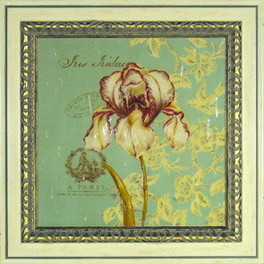 Գեե꡼ ƥե˥ ȥ ꥹԳեե꡼ ƥե˥ ȥ ꥹڳڥ_ۡڳڥ_Τۡڳڥ_åϡۡYDKG-tdۡڱ_ݥ10ܡۡڱ_ۡڱ_ۡڱ_̵¡ۡڱ_Påס