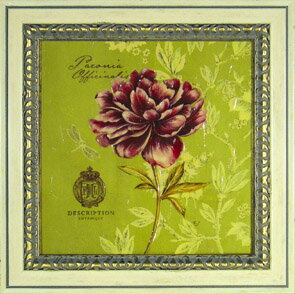 Գեե꡼ ƥե˥ ȥ ԥˡԳեե꡼ ƥե˥ ȥ ԥˡڳڥ_ۡڳڥ_Τۡڳڥ_åϡۡYDKG-tdۡڱ_ݥ10ܡۡڱ_ۡڱ_ۡڱ_̵¡ۡڱ_Påס