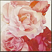 ϥ mini 쥯󥢡 ֥ԥ󥯥ץϥ mini 쥯󥢡 ֥ԥ󥯥סڳڥ_ۡڳڥ_Τۡڳڥ_åϡۡYDKG-tdۡڱ_ݥ10ܡۡڱ_ۡڱ_ۡڱ_̵¡ۡڱ_Påס