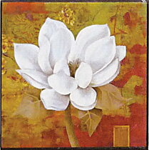 ϥ mini 쥯󥢡 ֥쥬ȥۥ磻ȥե1ץϥ mini 쥯󥢡 ֥쥬ȥۥ磻ȥե1סڳڥ_ۡڳڥ_Τۡڳڥ_åϡۡYDKG-tdۡڱ_ݥ10ܡۡڱ_ۡڱ_ۡڱ_̵¡ۡڱ_Påס