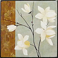 ϥ mini 쥯󥢡 ֥쥬ȥۥ磻ȥե2ץϥ mini 쥯󥢡 ֥쥬ȥۥ磻ȥե2סڳڥ_ۡڳڥ_Τۡڳڥ_åϡۡYDKG-tdۡڱ_ݥ10ܡۡڱ_ۡڱ_ۡڱ_̵¡ۡڱ_Påס