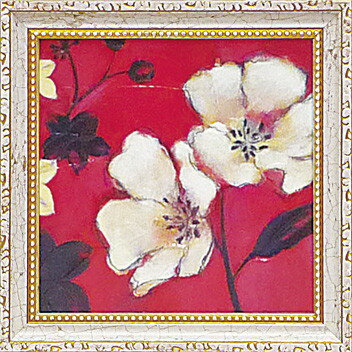 ߥ  ȥե졼 ͥ㡼쥯ȥ ֥ޥ饹Υ륨å1ץߥ  ȥե졼 ͥ㡼쥯ȥ ֥ޥ饹Υ륨å1סڳڥ_ۡڳڥ_Τۡڳڥ_åϡۡYDKG-tdۡڱ_ݥ10ܡۡڱ_ۡڱ_ۡڱ_̵¡ۡڱ_Påס