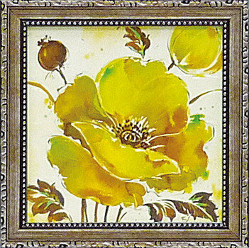 ߥ  ȥե졼 ͥ㡼쥯ȥ ֥եåݥԡץߥ  ȥե졼 ͥ㡼쥯ȥ ֥եåݥԡסڳڥ_ۡڳڥ_Τۡڳڥ_åϡۡYDKG-tdۡڱ_ݥ10ܡۡڱ_ۡڱ_ۡڱ_̵¡ۡڱ_Påס