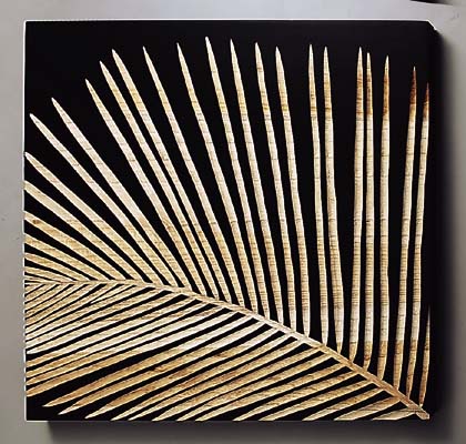 å ץ㡼  ե˥åA֥åå ץ㡼  ե˥åA֥å ڳڥ_ۡڳڥ_Τۡڳڥ_åϡۡYDKG-tdۡڱ_ݥ10ܡۡڱ_ۡڱ_ۡڱ_̵¡ۡڱ_Påסۡsmtb-TDۡsaitamaۡڱ_̵