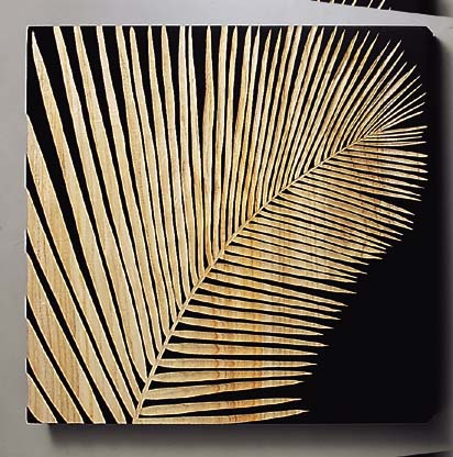 å ץ㡼  ե˥åB֥åå ץ㡼  ե˥åB֥å ڳڥ_ۡڳڥ_Τۡڳڥ_åϡۡYDKG-tdۡڱ_ݥ10ܡۡڱ_ۡڱ_ۡڱ_̵¡ۡڱ_Påסۡsmtb-TDۡsaitamaۡڱ_̵