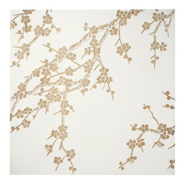 å ץ㡼  ѥˡեۥ磻ȥå ץ㡼  ѥˡեۥ磻 ڳڥ_ۡڳڥ_Τۡڳڥ_åϡۡYDKG-tdۡڱ_ݥ10ܡۡڱ_ۡڱ_ۡڱ_̵¡ۡڱ_Påסۡsmtb-TDۡsaitamaۡڱ_̵