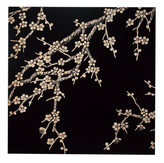 å ץ㡼  ѥˡե֥åå ץ㡼  ѥˡե֥å ڳڥ_ۡڳڥ_Τۡڳڥ_åϡۡYDKG-tdۡڱ_ݥ10ܡۡڱ_ۡڱ_ۡڱ_̵¡ۡڱ_Påסۡsmtb-TDۡsaitamaۡڱ_̵