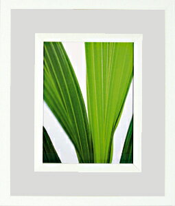 ԥȥեȡե ǥ롼 ӥå ꡼ԥȥեȡե ǥ롼 ӥå ꡼ڳڥ_ۡڳڥ_Τۡڳڥ_åϡۡYDKG-tdۡڱ_ݥ10ܡۡڱ_ۡڱ_ۡڱ_̵¡ۡڱ_Påס