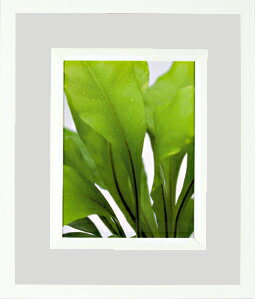 ԥȥեȡե ǥ롼 եå ꡼ԥȥեȡե ǥ롼 եå ꡼ڳڥ_ۡڳڥ_Τۡڳڥ_åϡۡYDKG-tdۡڱ_ݥ10ܡۡڱ_ۡڱ_ۡڱ_̵¡ۡڱ_Påס