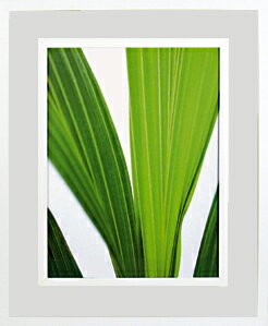 ԥȥեȡե ǥ롼 ӥå ꡼ԥȥեȡե ǥ롼 ӥå ꡼ ڳڥ_ۡڳڥ_Τۡڳڥ_åϡۡYDKG-tdۡڱ_ݥ10ܡۡڱ_ۡڱ_ۡڱ_̵¡ۡڱ_Påסۡsmtb-TDۡsaitamaۡڱ_̵