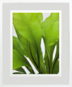 ԥȥեȡե ǥ롼 եå ꡼ԥȥեȡե ǥ롼 եå ꡼ ڳڥ_ۡڳڥ_Τۡڳڥ_åϡۡYDKG-tdۡڱ_ݥ10ܡۡڱ_ۡڱ_ۡڱ_̵¡ۡڱ_Påסۡsmtb-TDۡsaitamaۡڱ_̵