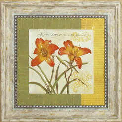 Գեƥ ե 󥹥ԥ졼1Գեƥ ե 󥹥ԥ졼1ڳڥ_ۡڳڥ_Τۡڳڥ_åϡۡYDKG-tdۡڱ_ݥ10ܡۡڱ_ۡڱ_ۡڱ_̵¡ۡڱ_Påס