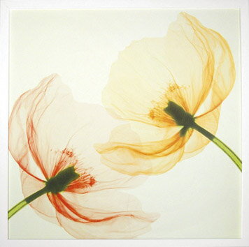 ԥȥե졼ե ɥ 饤ȥͥ 1ԥȥե졼ե ɥ 饤ȥͥ 1 ڳڥ_ۡڳڥ_Τۡڳڥ_åϡۡYDKG-tdۡڱ_ݥ10ܡۡڱ_ۡڱ_ۡڱ_̵¡ۡڱ_Påסۡsmtb-TDۡsaitamaۡڱ_̵