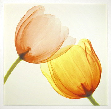 ԥȥե졼ե ɥ 饤ȥͥ 2ԥȥե졼ե ɥ 饤ȥͥ 2 ڳڥ_ۡڳڥ_Τۡڳڥ_åϡۡYDKG-tdۡڱ_ݥ10ܡۡڱ_ۡڱ_ۡڱ_̵¡ۡڱ_Påסۡsmtb-TDۡsaitamaۡڱ_̵