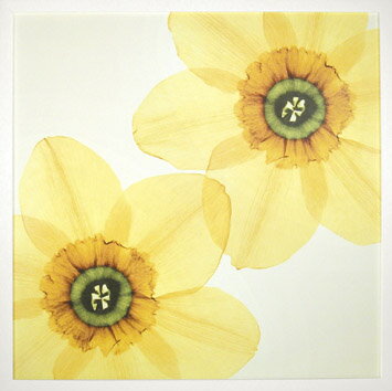 ԥȥե졼ե ɥ ǥꥱ 1ԥȥե졼ե ɥ ǥꥱ 1 ڳڥ_ۡڳڥ_Τۡڳڥ_åϡۡYDKG-tdۡڱ_ݥ10ܡۡڱ_ۡڱ_ۡڱ_̵¡ۡڱ_Påסۡsmtb-TDۡsaitamaۡڱ_̵