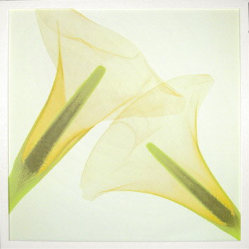 ԥȥե졼ե ɥ ǥꥱ 2ԥȥե졼ե ɥ ǥꥱ 2 ڳڥ_ۡڳڥ_Τۡڳڥ_åϡۡYDKG-tdۡڱ_ݥ10ܡۡڱ_ۡڱ_ۡڱ_̵¡ۡڱ_Påסۡsmtb-TDۡsaitamaۡڱ_̵