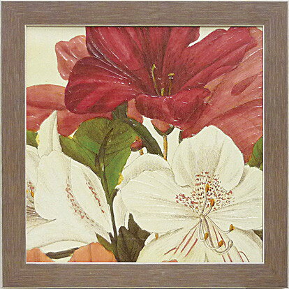 Գե磻ɥåץ륹 ܥˡ 1Գե磻ɥåץ륹 ܥˡ 1 ڳڥ_ۡڳڥ_Τۡڳڥ_åϡۡYDKG-tdۡڱ_ݥ10ܡۡڱ_ۡڱ_ۡڱ_̵¡ۡڱ_Påסۡsmtb-TDۡsaitamaۡڱ_̵