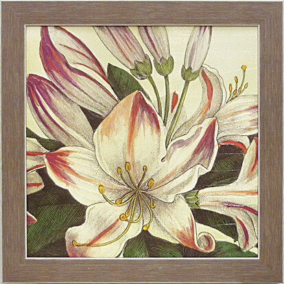 Գե磻ɥåץ륹 ܥˡ 2Գե磻ɥåץ륹 ܥˡ 2 ڳڥ_ۡڳڥ_Τۡڳڥ_åϡۡYDKG-tdۡڱ_ݥ10ܡۡڱ_ۡڱ_ۡڱ_̵¡ۡڱ_Påסۡsmtb-TDۡsaitamaۡڱ_̵