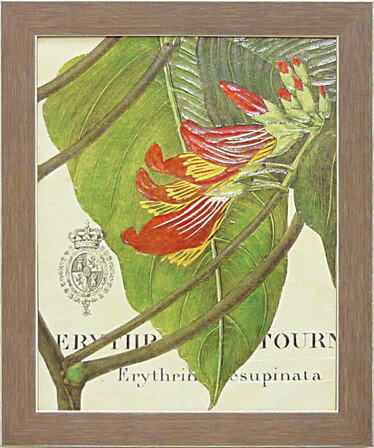 Գե磻ɥåץ륹 ܥˡ ȥԥ1Գե磻ɥåץ륹 ܥˡ ȥԥ1 ڳڥ_ۡڳڥ_Τۡڳڥ_åϡۡYDKG-tdۡڱ_ݥ10ܡۡڱ_ۡڱ_ۡڱ_̵¡ۡڱ_Påסۡsmtb-TDۡsaitamaۡڱ_̵