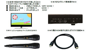〔採点機能付きカラオケDVD/CDプレーヤー〕マイク2本付属♪自宅で採点付きカラオケが楽しめる!市販のカラオケDVDソフトが使用でき曲バリエーションは自由♪映画DVDなどはもちろん、音楽CDの再生も可能♪