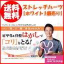 ストレッチハーツ ホワイト ◎即納します【あす楽対応エリア拡...