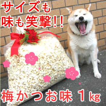 イベント、バザー、文化祭、催事、夕涼み会、夏祭りに。完成品ポップコーン1kg梅かつお味