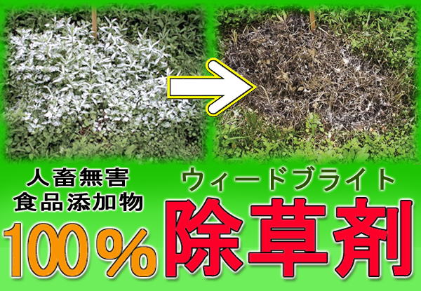 人畜無害！100％食品添加物の除草剤「ウィードブライト」【ID=同梱OK】【アウトレット セール％OFF】