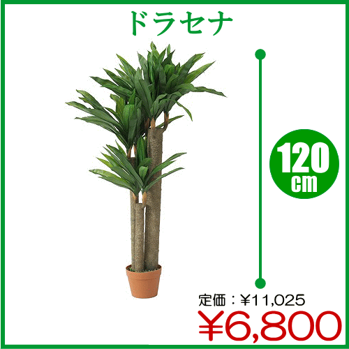 ڥݥȡ10ܡۥӥ塼оʹʡڡֿ͹տʪ ɥ饻 120cmNo.17174Aڥȥå² OFF ݥ  ۡYDKG-tkۡP0916PۡP0916ۡtkp-0915ۡڡåݥȺ10ܡ0913