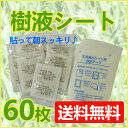 【送料無料】【日本製】足裏シート/樹液シート60枚入り むく...
