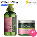 ★最大2,000円OFFクーポン配布中★ナプラ ケアテクト OG シャンプー 250mL + トリートメント 200g セット 《AC・VC》 / 【送料無料】 美容室 サロン専売品 美容院 ヘアケア napla ナプラ セット おすすめ品