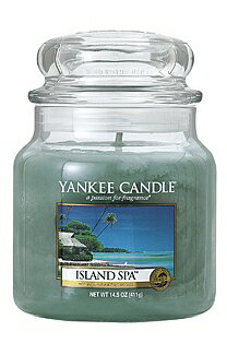 ヤンキーキャンドル[YANKEE CANDLE]ジャーMスパ411g【エントリー+2店利用でP5倍!最大8倍】【送料無料】