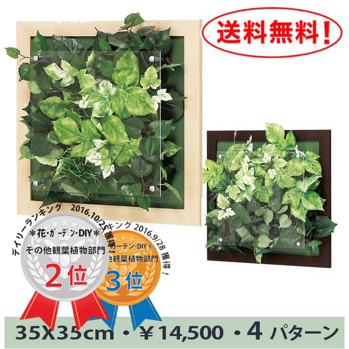 ☆当店人気デザイン！壁掛け ウォールグリーン☆35X35cm(観葉植物 フェイク グリーン…...:b-interior:10000850