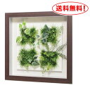壁掛け 【造花グリーン・4つ窓・奥行7.1cm】60X60cm | おしゃれ フェイク ウォールグリーン アートパネル 観葉植物 玄関飾り トイレ 壁飾り グリーン インテリア フェイクグリーン グリーンパネル パネル リーフ リーフパネル インテリアアートパネル 壁 ウォールデコ
