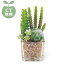 送料別 【取り寄せ・同梱注文不可】 SUCCULENT REFRERIUM(サキュレントリフレリウム) DEODORANT ARTIFICIAL GREEN 消臭アーティフィシャルグリーン KH-60985【代引き不可】【thxgd_18】