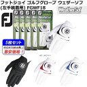 【5枚セット メール便送料無料】【2019年モデル】【スピード取り寄せ】フットジョイ F