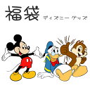 ディズニー 福袋 豪華版 キャラクター グッズ 誕生日 クリスマス プレゼント HAPPY BAG あす楽