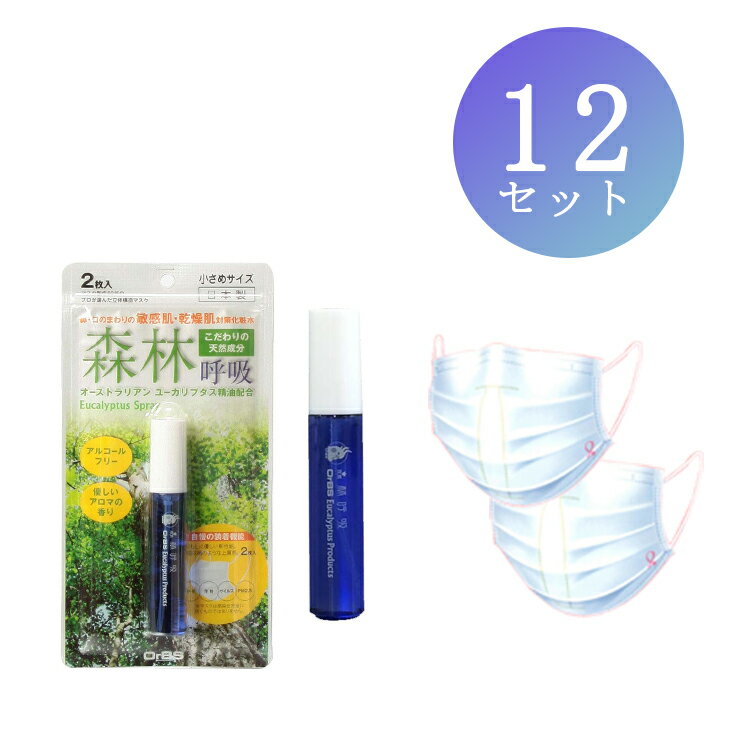 12セット 日本製 【送料無料】 マスク 花粉 ウイルス 遮断 率 ウイルス対策 インフル インフルエンザ コロナウイルス コロナ 防塵 ノロ ノロウイルス まとめ買い N99 セット スプレー マスクスプレー