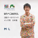 絵本 ブランド【はらぺこあおむし グッズ】服 大人