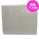 【レンタル】【延長期間1ヶ月】コンパクトサイズ ハーフサイズ用マット