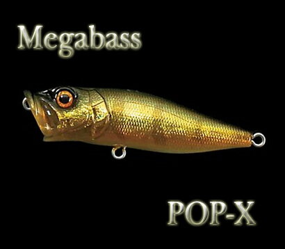 Megabass/メガバス　POP-X/ポップX　【1】