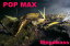 Megabass/メガバスPOP-MAX/ポップマックス