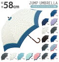 傘 58cm 長傘 Rainbow Drop レインボードロップ 好評 ジャンプ傘 レディース グラスファイバー傘 軽い 軽量 おしゃれ 雨傘 かわいい 丈夫 耐風 ボーダー水玉 ドット柄 カラフル 星 スター かさ アンブレラ かさ 長かさ 折れにくい