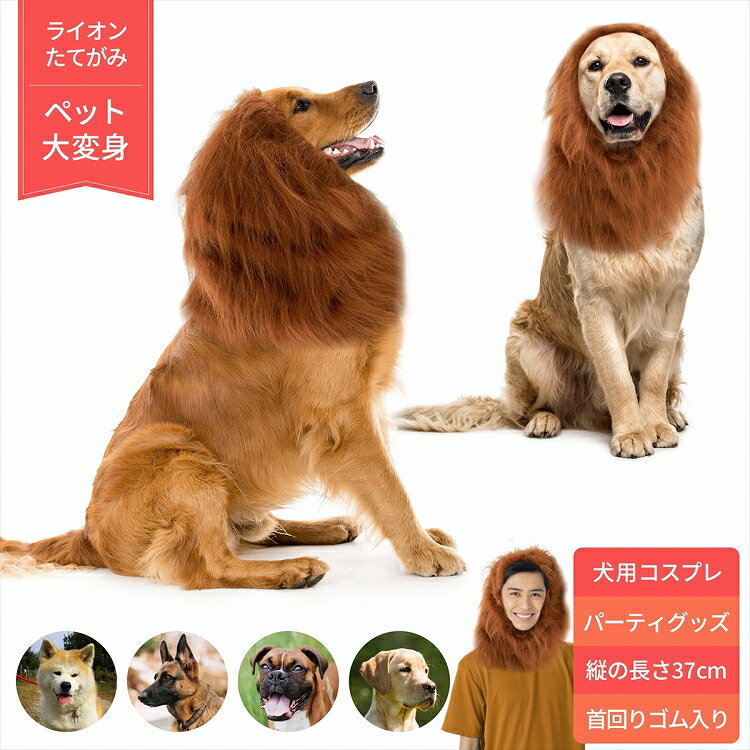 【在庫処分】ライオン たてがみ 犬用 コスチューム ドッグウェア 冬 人間 人間用 コスプレ ネックウォーマー ペット 服 衣装 おもちゃ 忘年会 新年会 パーティーグッズ 人気 かわいい おすすめ 大型犬 中型犬 ファー ウィッグ ギフト 贈り物