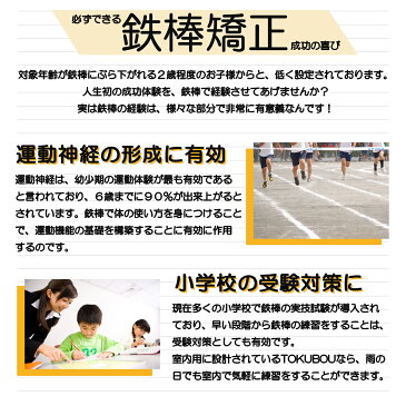 鉄棒 室内 【野外 子供用 大人も 折りたたみ式 てつぼう 遊具 運動 逆上がり練習 健康器具 ダイエット器具 スポーツ キッズ ジュニア プレゼント 贈り物 卒業 入学 プレゼント 入学祝い 入園祝い】