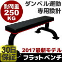 フラットベンチ ダンベルベンチ ダンベル運動専用設計【耐荷重...