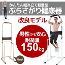 腰痛・肩こりスッキリ ぶら下がり健康器 男女兼用 【レディー...