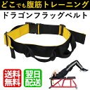 腹筋ベルト ドラゴンフラッグベルト (トレックス) trex...