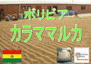 【お好みの焙煎します】ボリビア カラママルカ 100g コーヒー 珈琲 Coffee【HLS_DU】10P03Dec16